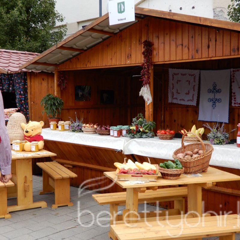 Helyi Értékek Startja 36